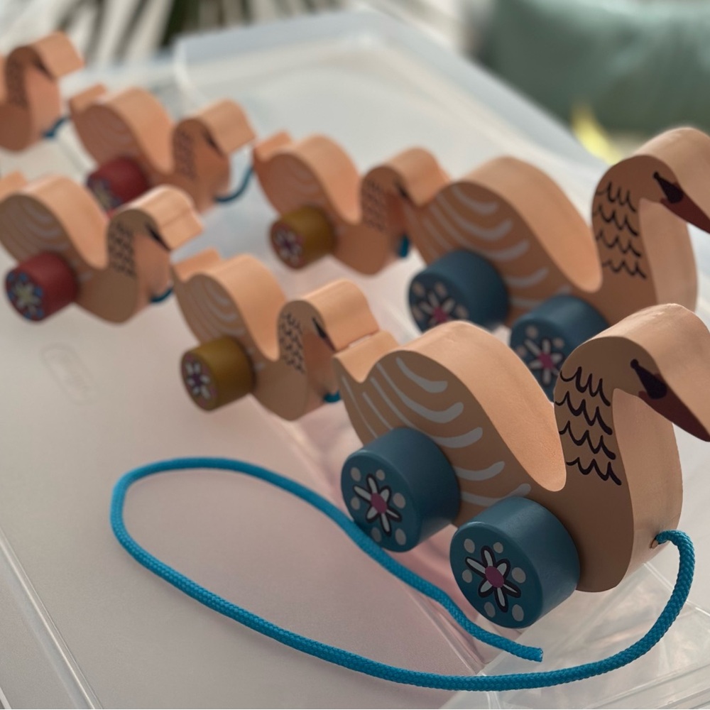 Wooden Pull-Along Duck Toy Set